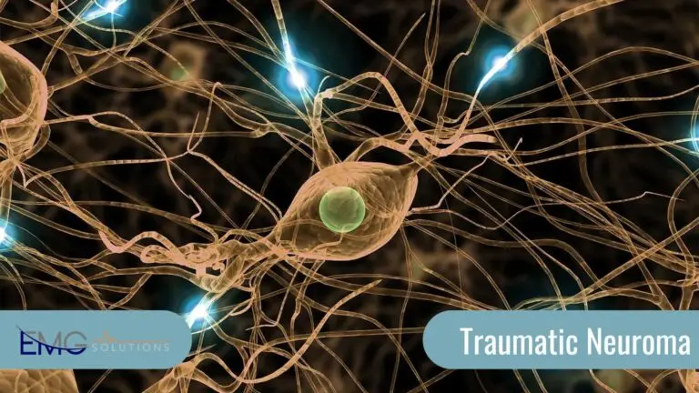 a close-up of a nerve cell